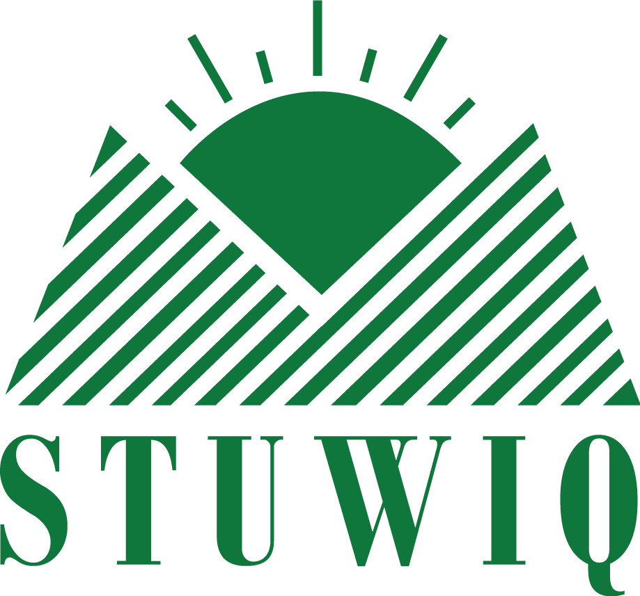 STUWIQ : I AM CHOSEN